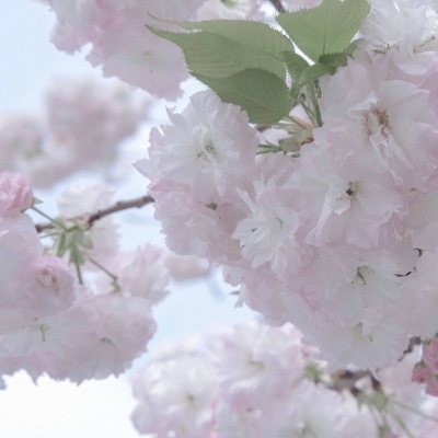 Furry插画细节提升干货FurryQQ群