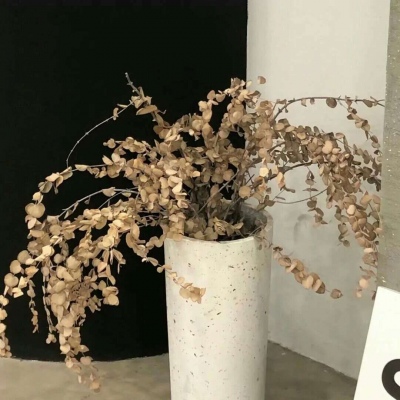 兽设校园场景创作Furry群